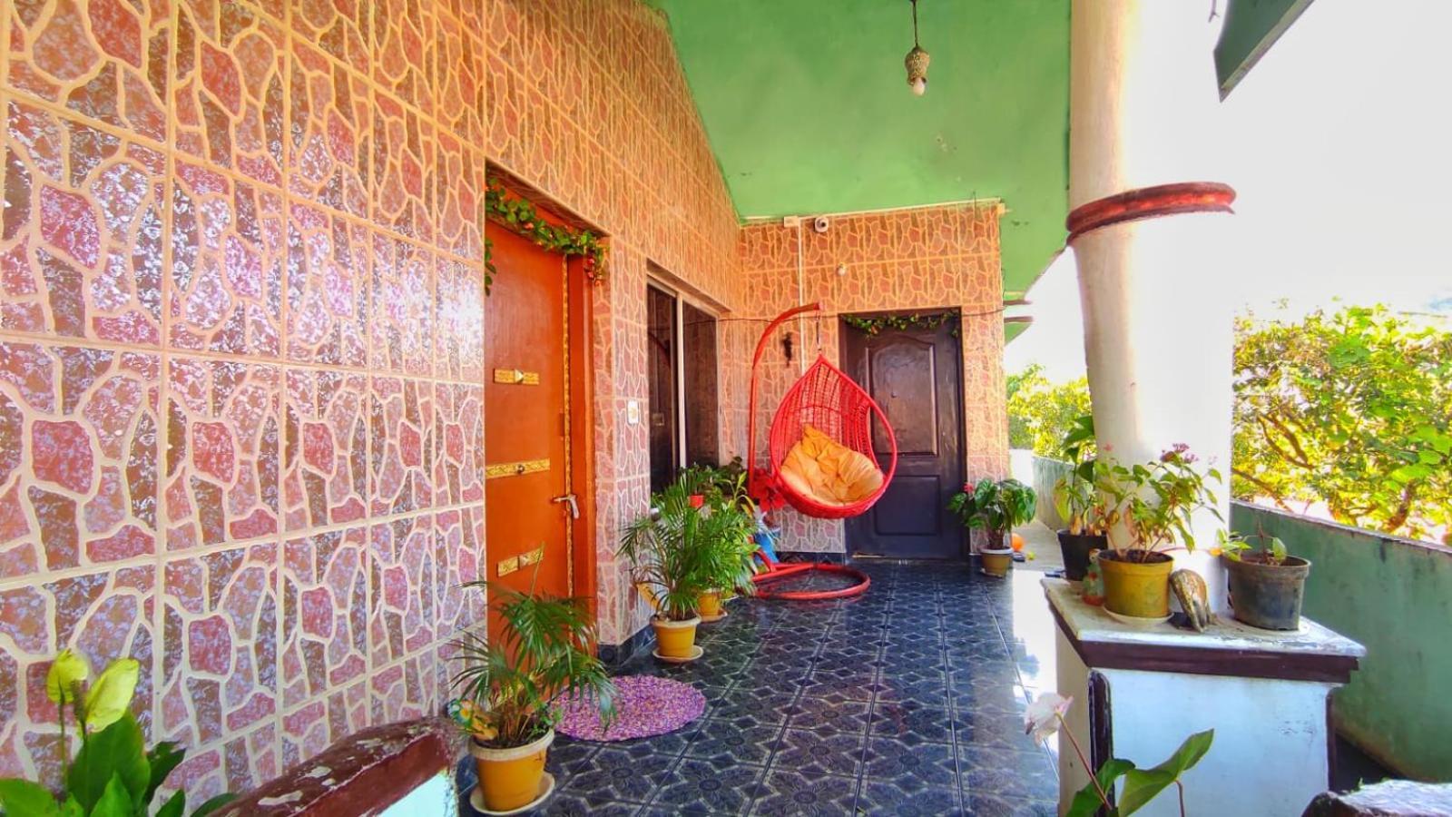 Homestay Royal Palm