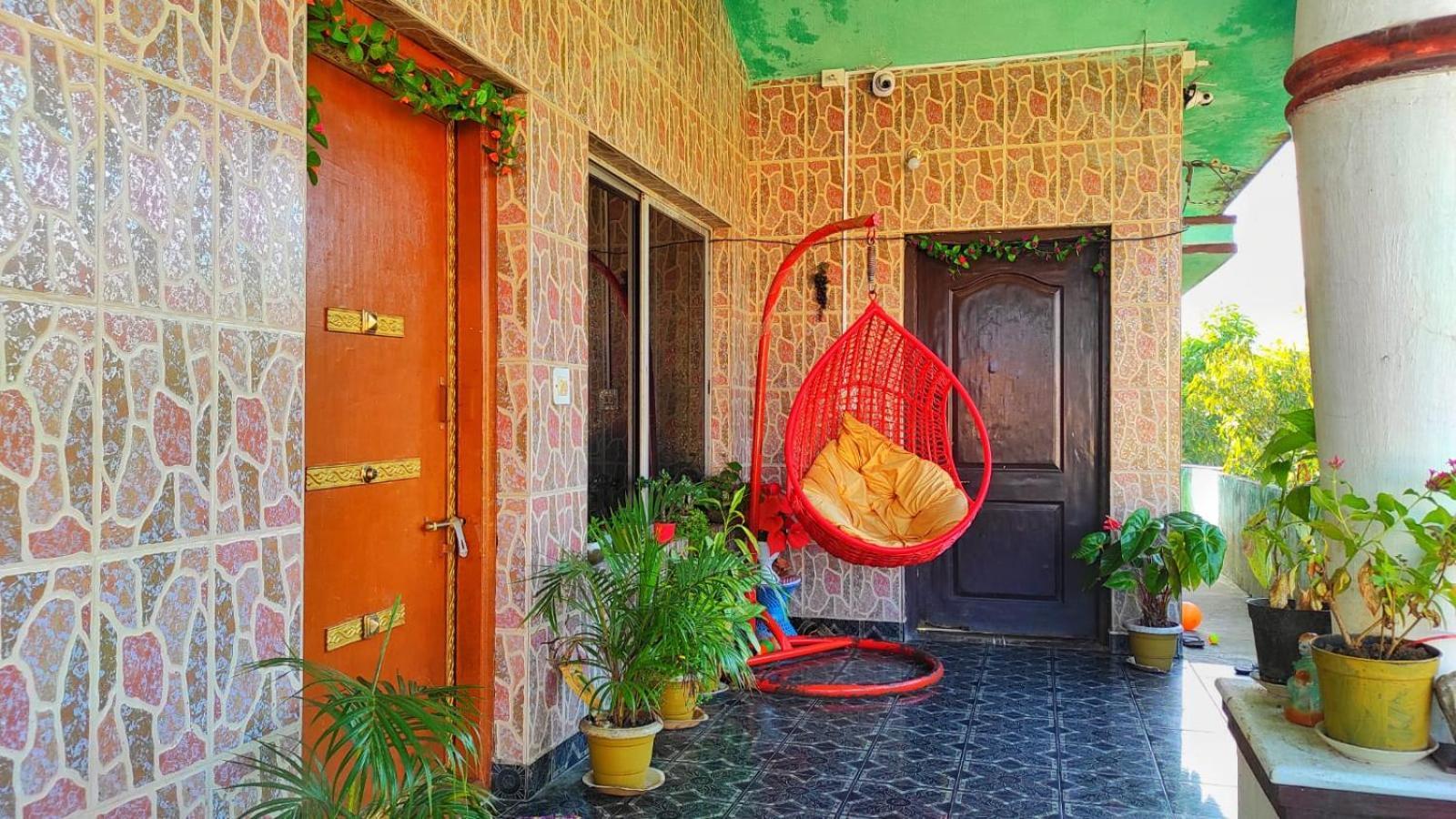 Royal Palm Homestay *
