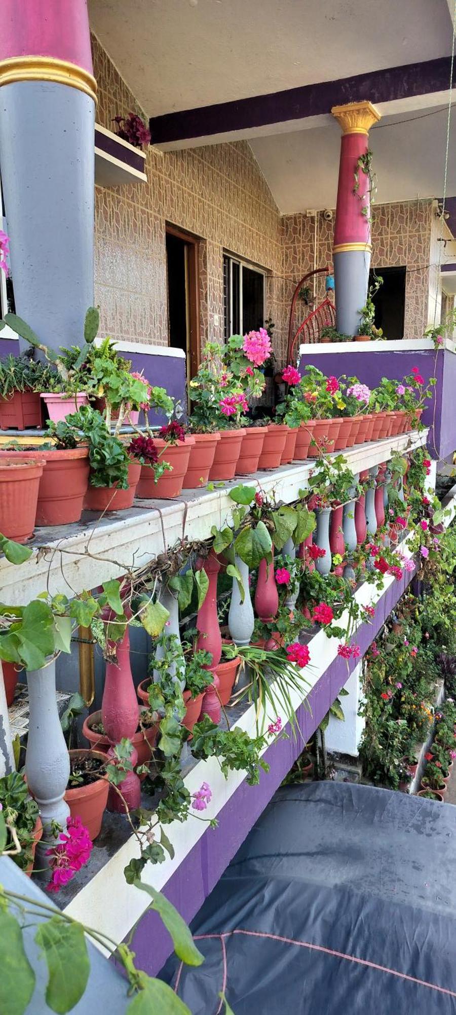 Royal Palm Homestay